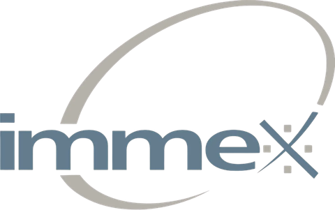 Programa IMMEX